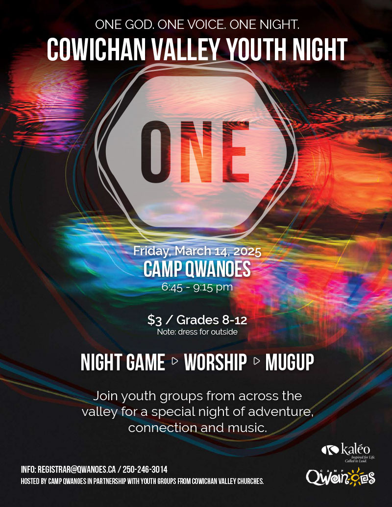 Cowichan Valley Youth Night Poster